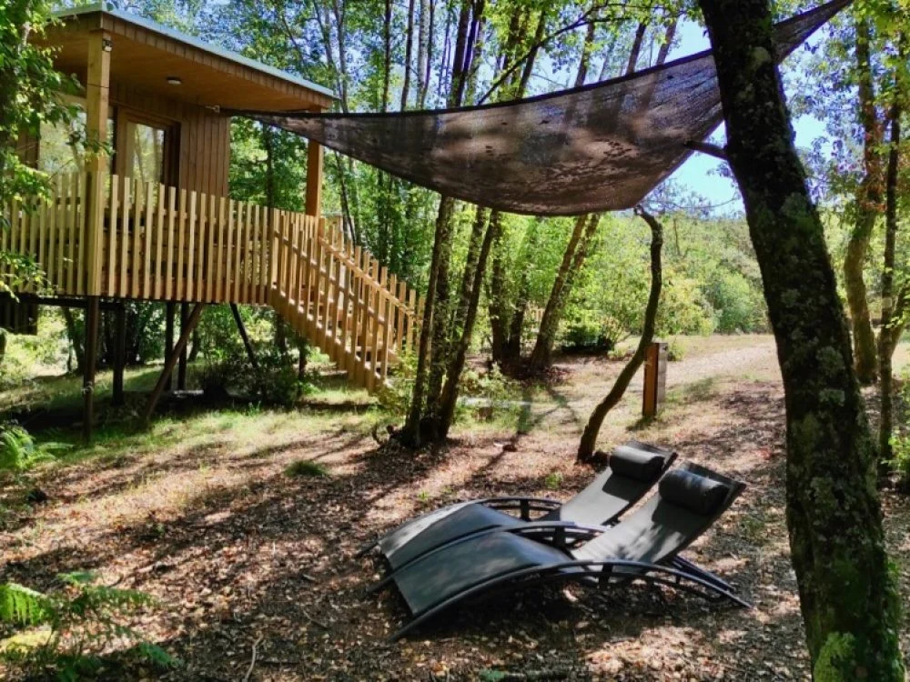 cabañas en el bosque gallego