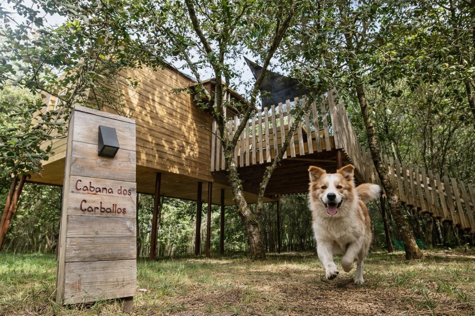 cabañas pet friendly en Galicia