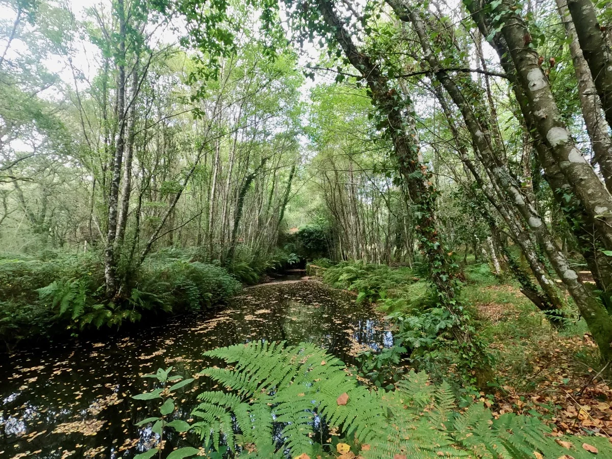 Descubre cabañas en Galicia con niños en plena naturaleza en Lugo. Cabana dos Carballos y Cabana do Río, ideales para familias y escapadas rurales.